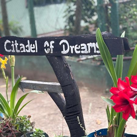 Citadel Of Dreams Ella Exterior foto